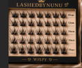 Wispy Cluster Lashes